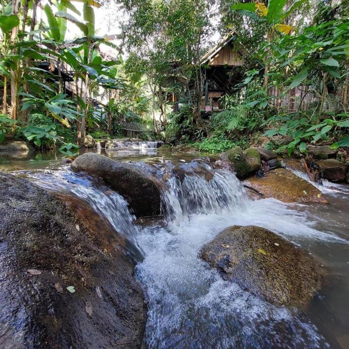 Villa Wilderness Treehouse Doi Saket Exterior foto